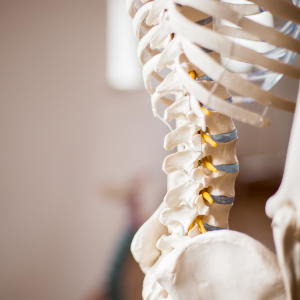Anatomy &Physiology